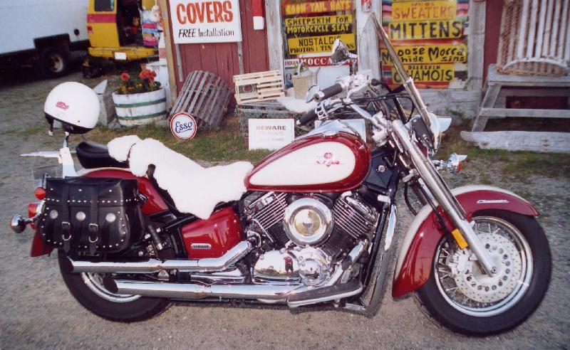 2001 Yamaha V Star